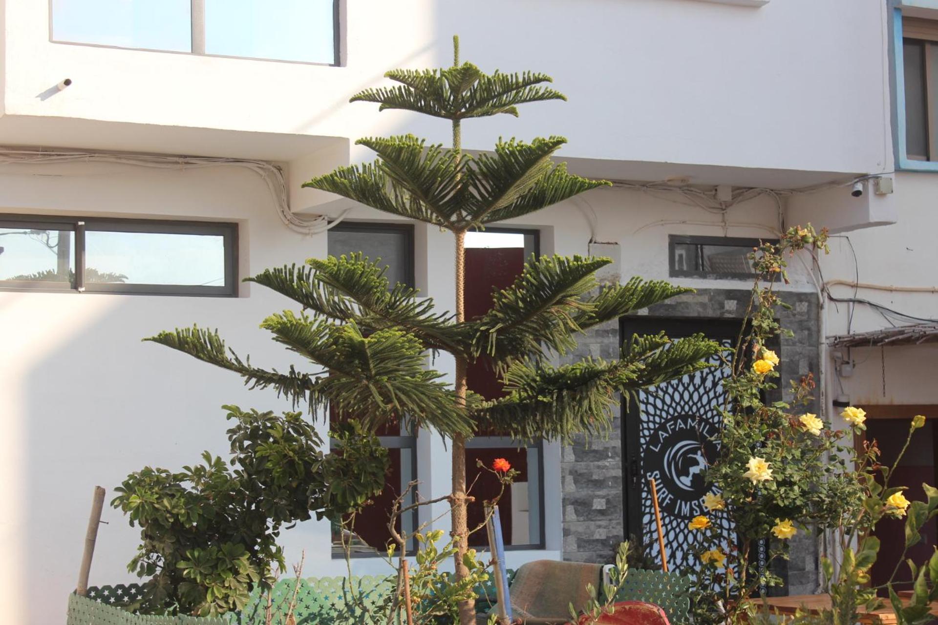 Hotel Lafamilia Surf Imsouane Zewnętrze zdjęcie